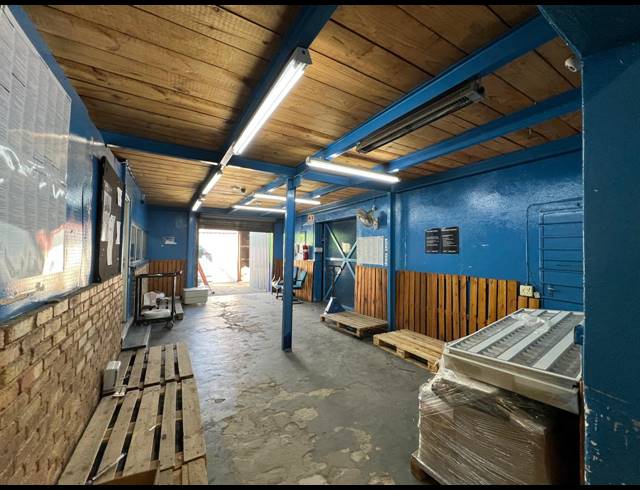 1,300M² WAREHOUSE TO LET IN FERNDALE
